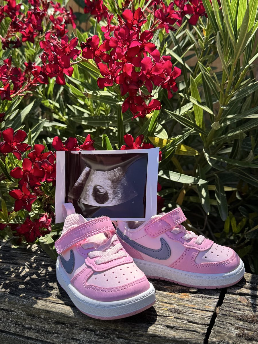 2Obutters's tweet photo. This past weekend at Pokémon Worlds was beyond what I could even dream of. 
It filled my heart with so much gratitude and joy. In order to properly explain how I’m feeling, I realized I needed to announce another dream come true.

My wife and I are expecting a baby girl! https://t.co/sV1DhvXX0V