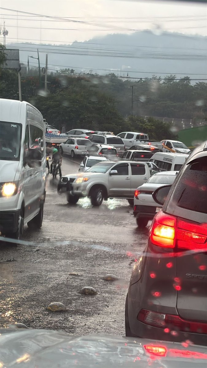 Elcentinelamx1's tweet photo. TUXTLA
Círcule con precaución mucho tráfico en la zona Sur Oriente. ⚠️ https://t.co/GDR1z09csJ