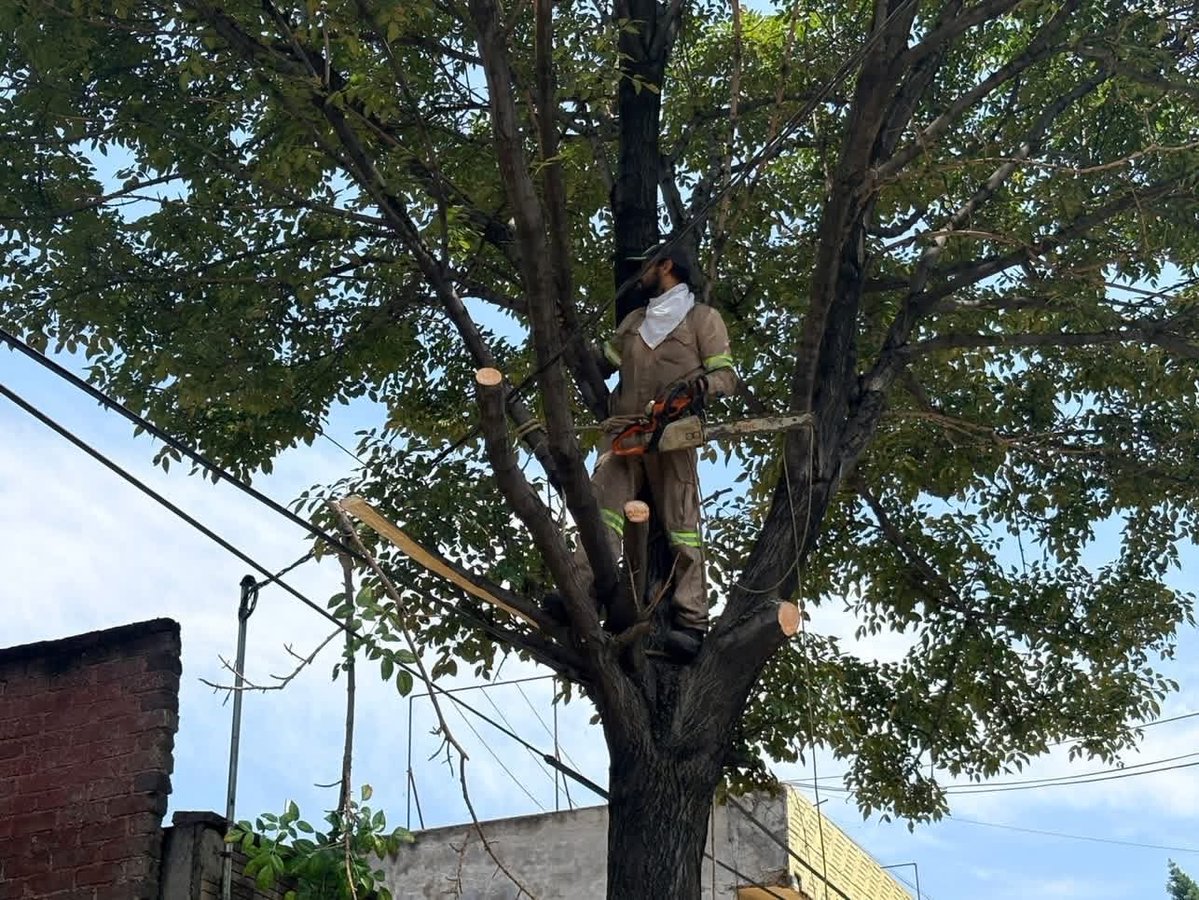 evelyn_parraA's tweet photo. #MegaTequioEnBalbuena

En la colonia Zaragoza 2, trabajamos en territorio con balizamiento, retiro de enseres, poda de árboles y atención a luminarias.

Seguimos transformando nuestras calles con trabajo cercano y resultados que se sienten.🤝🏽🧹🌳💡

#VCarranza #EvelynParra #LaEnergíaQueTransforma