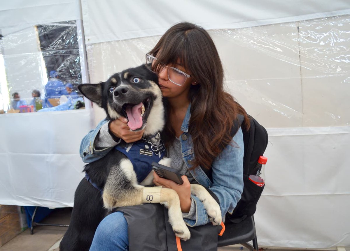 edomexinforma_'s tweet photo. Realizan 300 esterilizaciones de michis y lomitos en la Zona Oriente
⚪Con la Mega Jornada de Esterilización Canina y Felina 2026 se estima evitar el nacimiento de más de 10 mil perros y gatos.
Estas acciones se prevenir el abandono, el maltrato y riesgos para la salud pública. https://t.co/k5H18Agi0Y