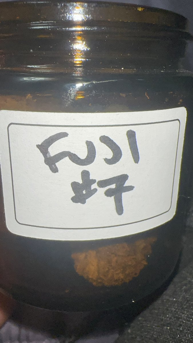 ifearmids's tweet photo. @0xBurnz …. #Chimmytech
🤫🤫🤫🤫🤫 Fuji 7 @Zikigai_Gardens
Funk - diesel - Apple https://t.co/zvctPBcUYE