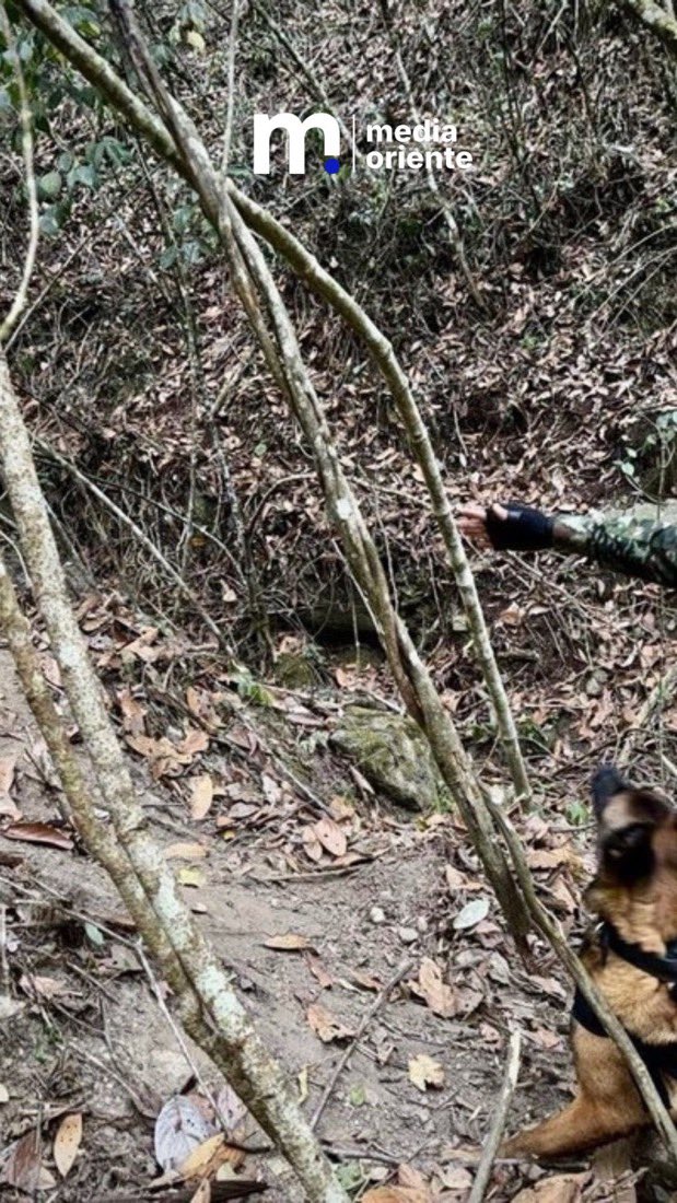 MediaOriente's tweet photo. 🇨🇴 COLOMBIA | Ejército destruye depósito con explosivos del ELN oculto junto a una escuela en Santander
Un depósito ilegal con material explosivo que pertenecería al Ejército de Liberación Nacional, oculto en inmediaciones de una institución educativa, fue localizado y destruido de manera controlada por tropas del Ejército Nacional en coordinación con la Policía Nacional y con cooperación de la Oficina Federal de Investigación de Estados Unidos, en el municipio de Charta, Santander.
La operación neutralizó una acción terrorista en preparación, evitando que estos elementos fueran empleados contra la población civil, la infraestructura estratégica y la Fuerza Pública desplegada en la zona.
El material fue destruido de forma controlada bajo los protocolos de seguridad para proteger a la comunidad estudiantil.