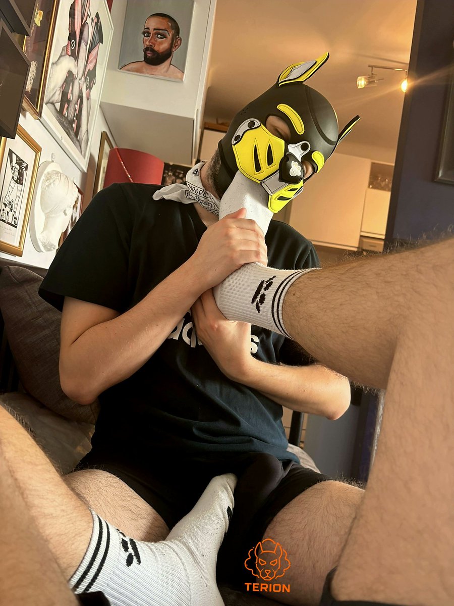TerionBates's tweet photo. Yum yum yum @pupdexy in my socks  😵‍💫 who's next ?  😜 https://t.co/P4eMeO04gB