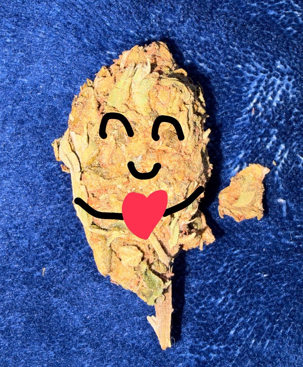 aehkxp's tweet photo. love https://t.co/9tryfVUxXb