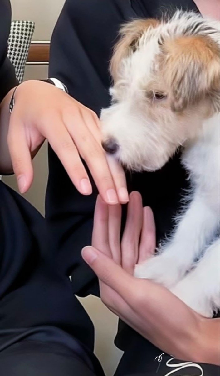 AlcenaAlla46338's tweet photo. Kuma and Jinyu have such beautiful hands... Graceful brushes, thin fingers, nails of a perfect shape - I can look at her endlessly. I have aesthetic delight. https://t.co/hAIAXo08LT