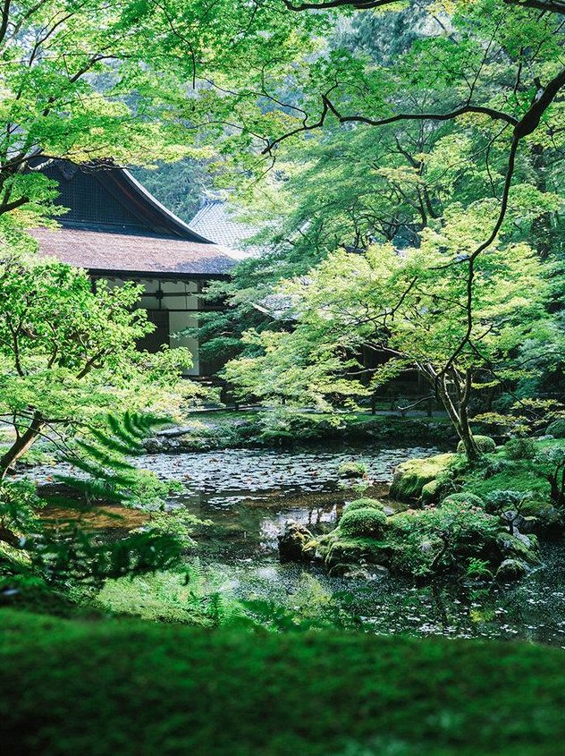 Doris_M_'s tweet photo. レジ袋、いる？いらない？
いつの間にか、ほんとに選択肢が
人生みたいだよね、何を取るか。
結局は重さで決まるんじゃないかな。 https://t.co/8Ux7YxahPr