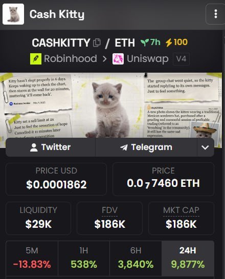 TheCashKittyRH's tweet photo. Cash Kitty is live on Dexscreener!

https://t.co/WgzGhCzpdD https://t.co/ETbbLLLevt