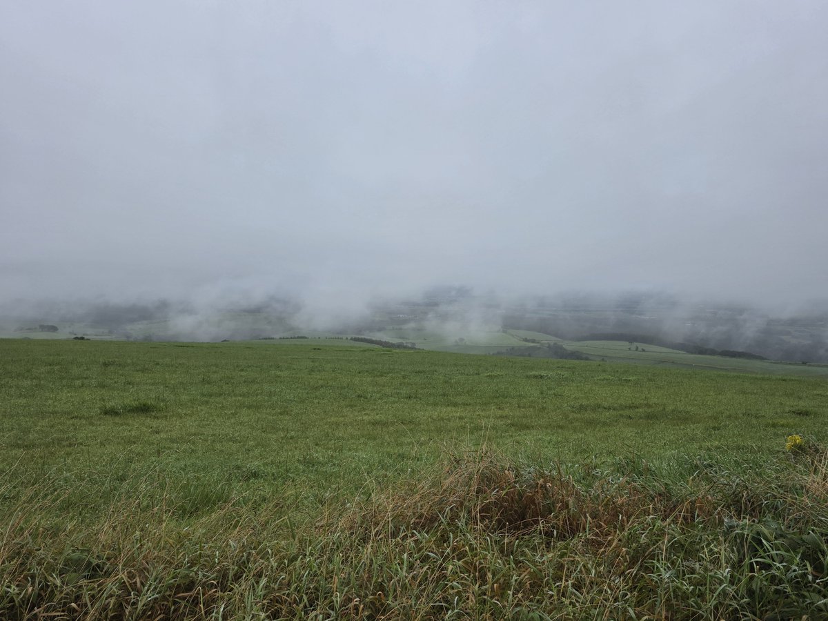 shunittmistake's tweet photo. おはようございます☁️
北海道最終日
これから港へ向かいます🏍️
道内5泊6日でも足りませんね😮‍💨
(きのうはナイタイテラスに
行ってきました🐄🥛)
#北海道ツーリング https://t.co/vZmuw8rOMP