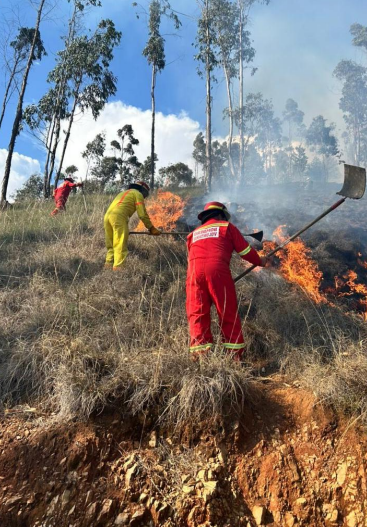 COENPeru's tweet photo. El 2/9 se registraron 3 #IncendiosForestales en los distritos #AntonioRaymondi y #Shilla (Áncash), así como en #Curahuasi (Apurímac). En las 2 primeras jurisdicciones el fuego ya está extinguido y dejaron 8.5 ha de cobertura natural destruida. En tanto, el evento en Apurímac fue controlado por la Compañía de Bomberos N.° 148 y ha consumido, hasta el momento, 10 ha de vegetación.