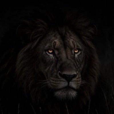blaqdeking's tweet photo. #NewProfilePic https://t.co/rDexGatFCg
