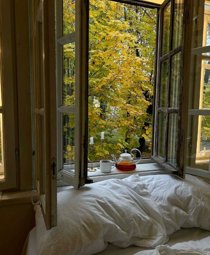 greenvibe's tweet photo. some days, looking at a tree from bed is enough. https://t.co/ZBkosPoEGt