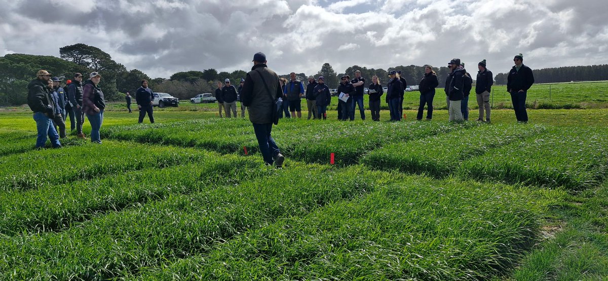 pasturewise's tweet photo. A great field day yesterday with @AuNutrien - great speakers with practical advice and plenty to see in the field. Thanks to everyone that helped make it a success. https://t.co/GnxZB0sUQX