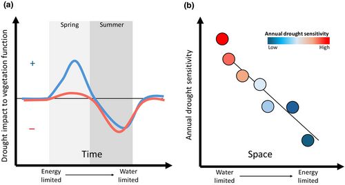 NewPhyt's tweet photo. #Viewpoint: A role for vegetation phenology in shaping patterns of ecosystem sensitivity to drought

Andrew J. Felton
👇

📖 https://t.co/cW7zGKPmqy https://t.co/c80ep60crc