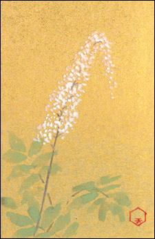 tanjyouka's tweet photo. ９月４日の誕生花

【晒菜升麻／さらしなしょうま】
花言葉：清々しい気：

白く長いブラシのような花の穂を立てているのがよく目立ちます。若い芽や葉は、昔から山菜として大事にされてきました。虎の尾よりも大きな花振りは、木陰に映えて、早くも秋の気配を感じさせてくれるのです。 https://t.co/F79jjCiEBz