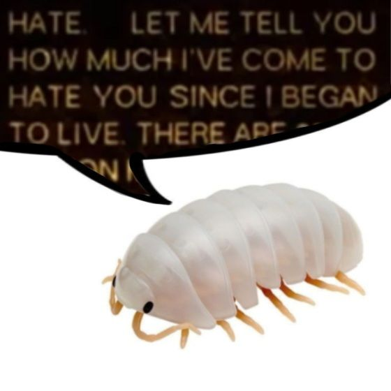 JesteringD tweet picture