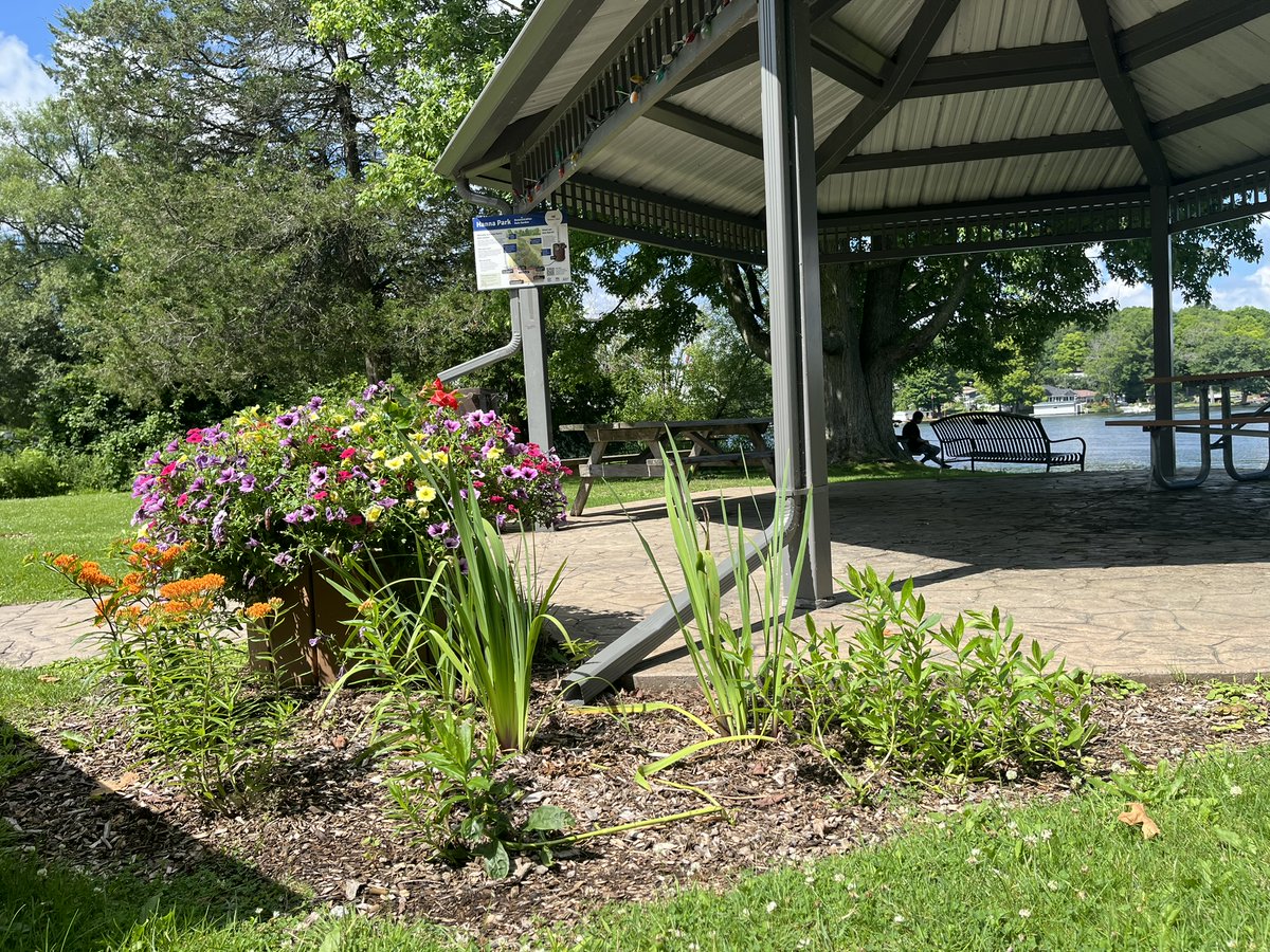 RideauValleyCA's tweet photo. CBC recently covered #raingardens as #flooding tools. See 1 in action! RVCA has 5 demo sites:
📍RVCA office, 3889 Rideau Valley Dr N, Manotick
📍Baxter Conservation Area
📍Perth Wildlife Reserve
📍Portland Bay Conservation Area
📍Hanna Memorial Park
More: https://t.co/G7U2vRVD1h https://t.co/5ySYjuT6JF