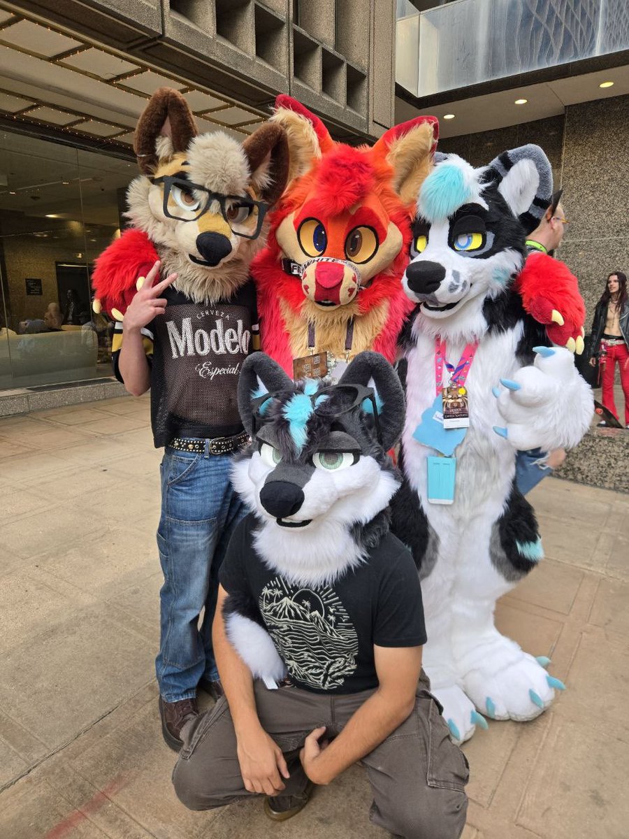 fostfur tweet picture