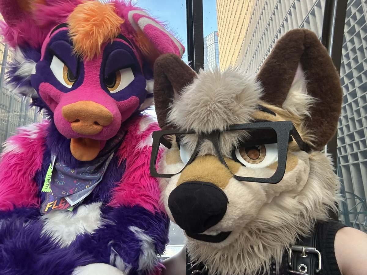 fostfur tweet picture