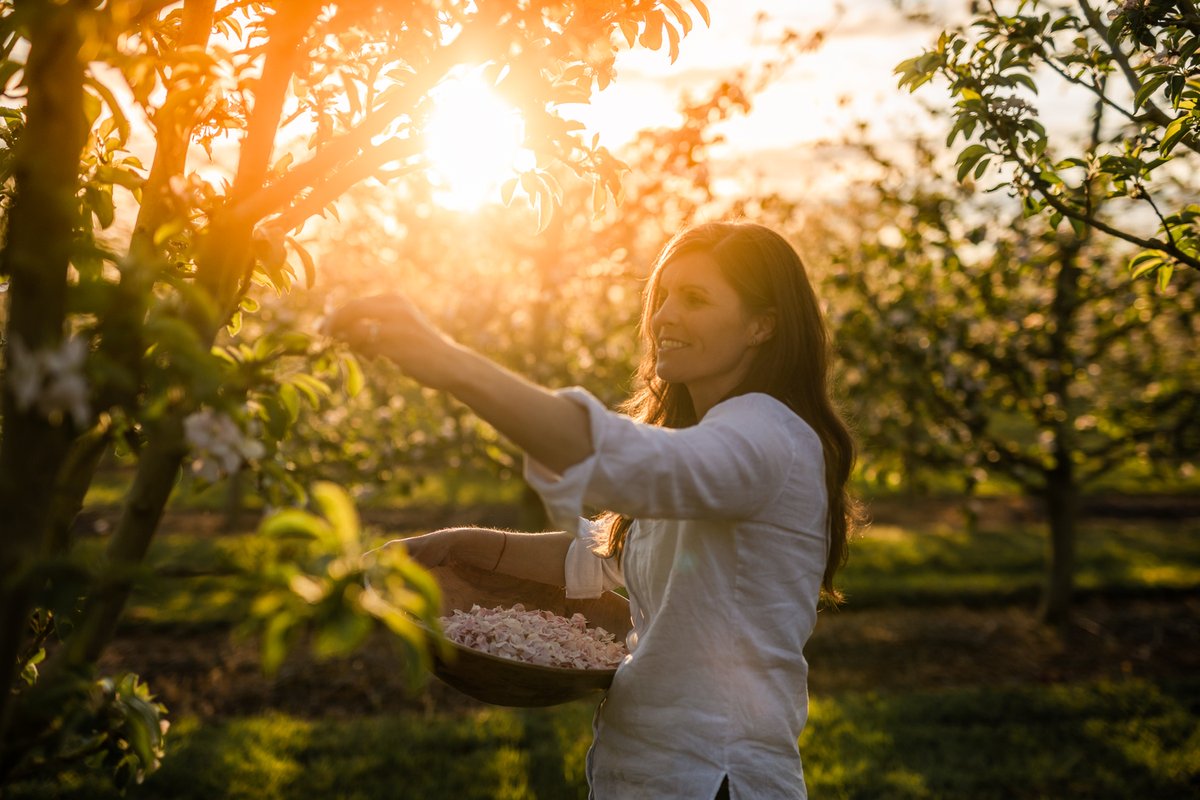 Silksgin's tweet photo. From orchard to glass 🍏🍸Signature botanicals of apple blossom, elderflower, hawthorn blossom & orchard honey are hand-harvested from the Cooney family's apple orchards that inspire our award-winning gin.
#MadeInIreland #IrishOrchards #GinLovers #CraftGin https://t.co/BZwF9881Tg https://t.co/zwLB6rTj9s