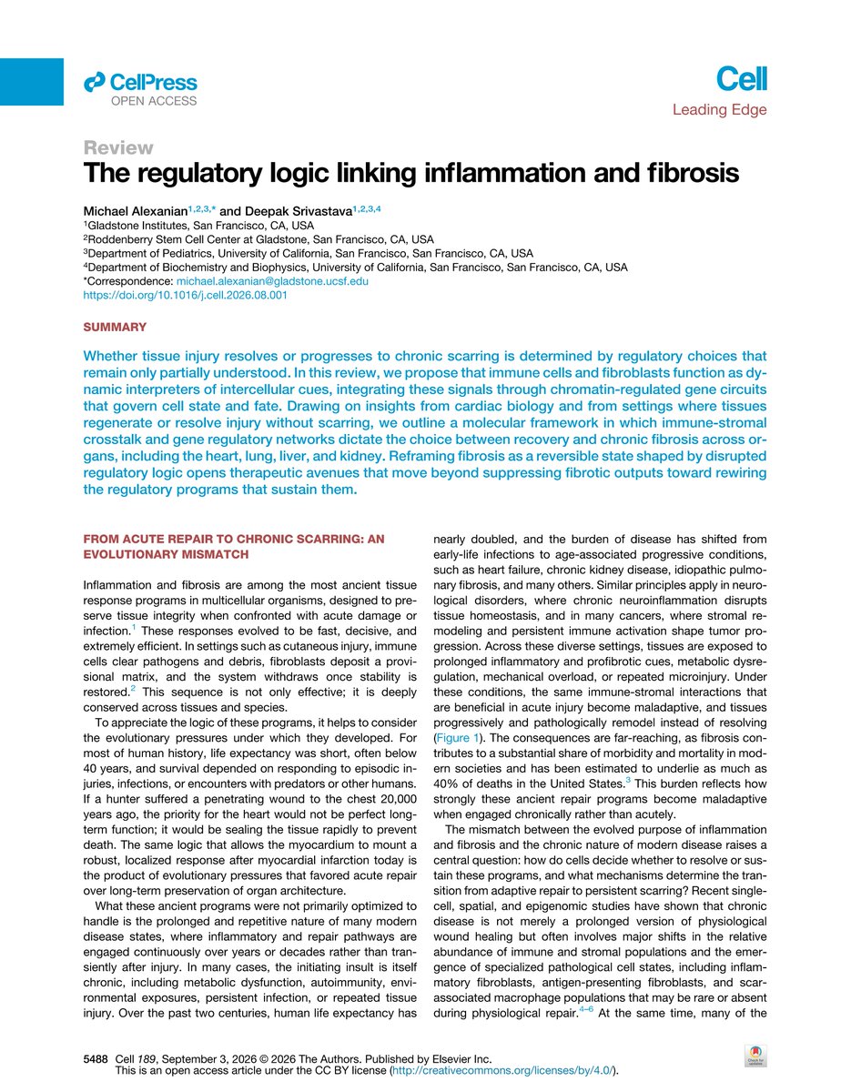 m_alexanian's tweet photo. Excited to share our new review in @CellCellPress. We propose fibrosis is a reversible state encoded in chromatin circuits shaped by immune-stromal crosstalk, and that rewiring this logic may offer durable therapeutic paths. @GladstoneInst 

https://t.co/PseOOQY93h https://t.co/R9U3qUMJ97