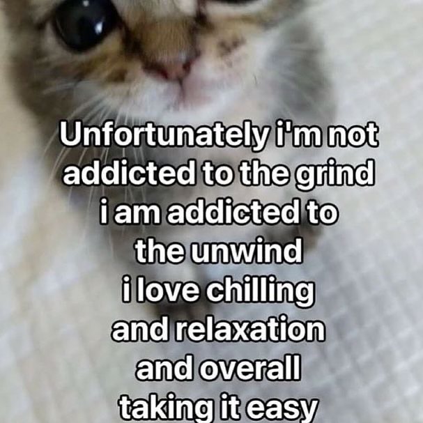 PunchingCat's tweet photo. https://t.co/s3cc5BTy2g