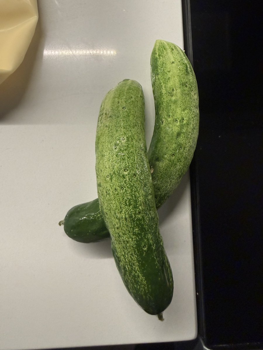shraytheeats's tweet photo. my neighbor grew these cucumbers and gave them to me :) https://t.co/dtAnCyv6Kj