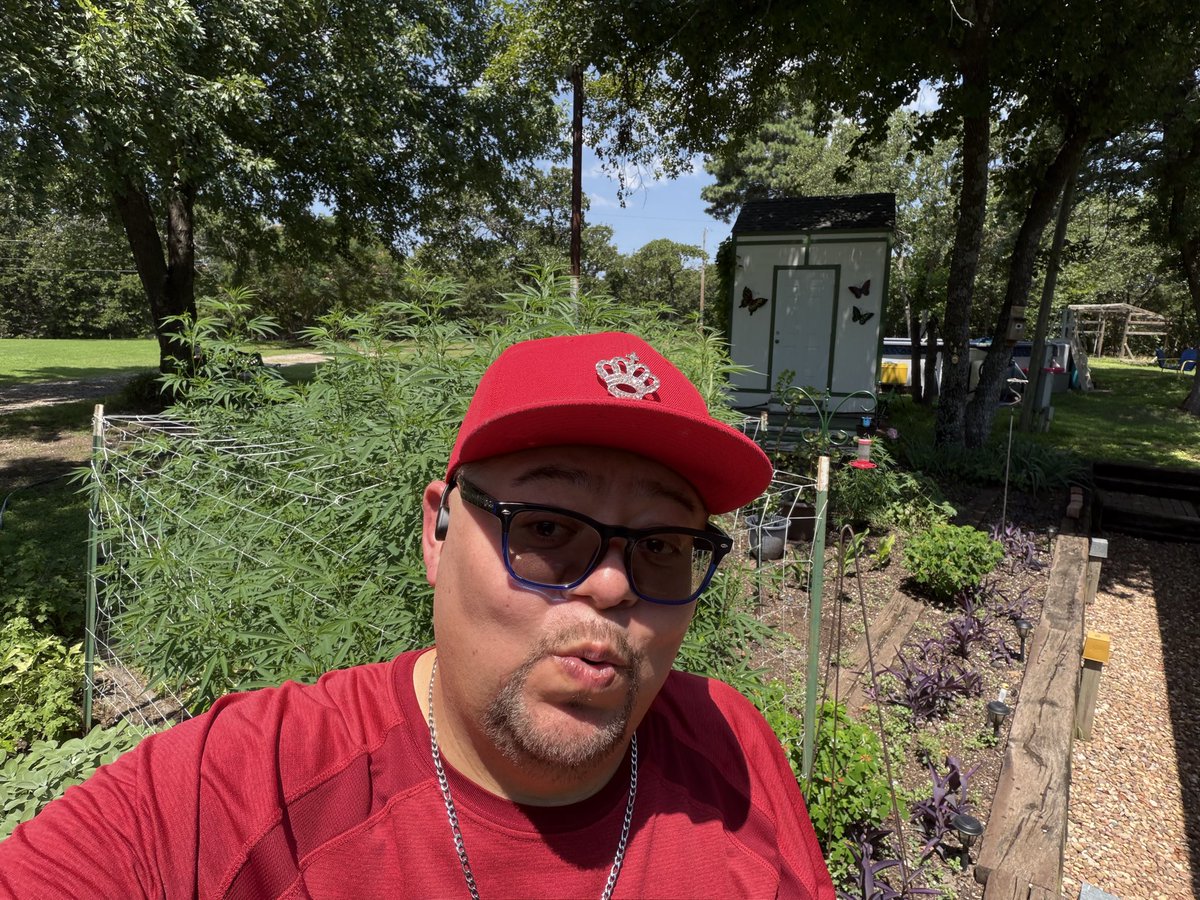 IBFluff's tweet photo. It’s 420 all the time around me, especially with the weed farm behind me..🤟 https://t.co/lFZaJLGk1q