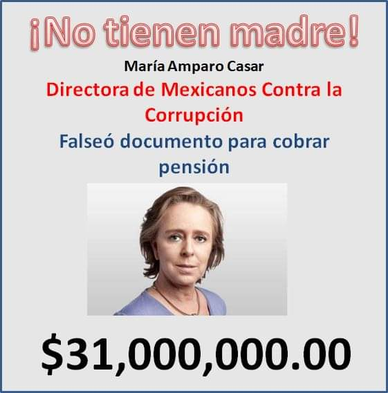 JesusRe87205216's tweet photo. Vieja corrupta Mexicana a favor de los millones. https://t.co/hjlPGLumN1