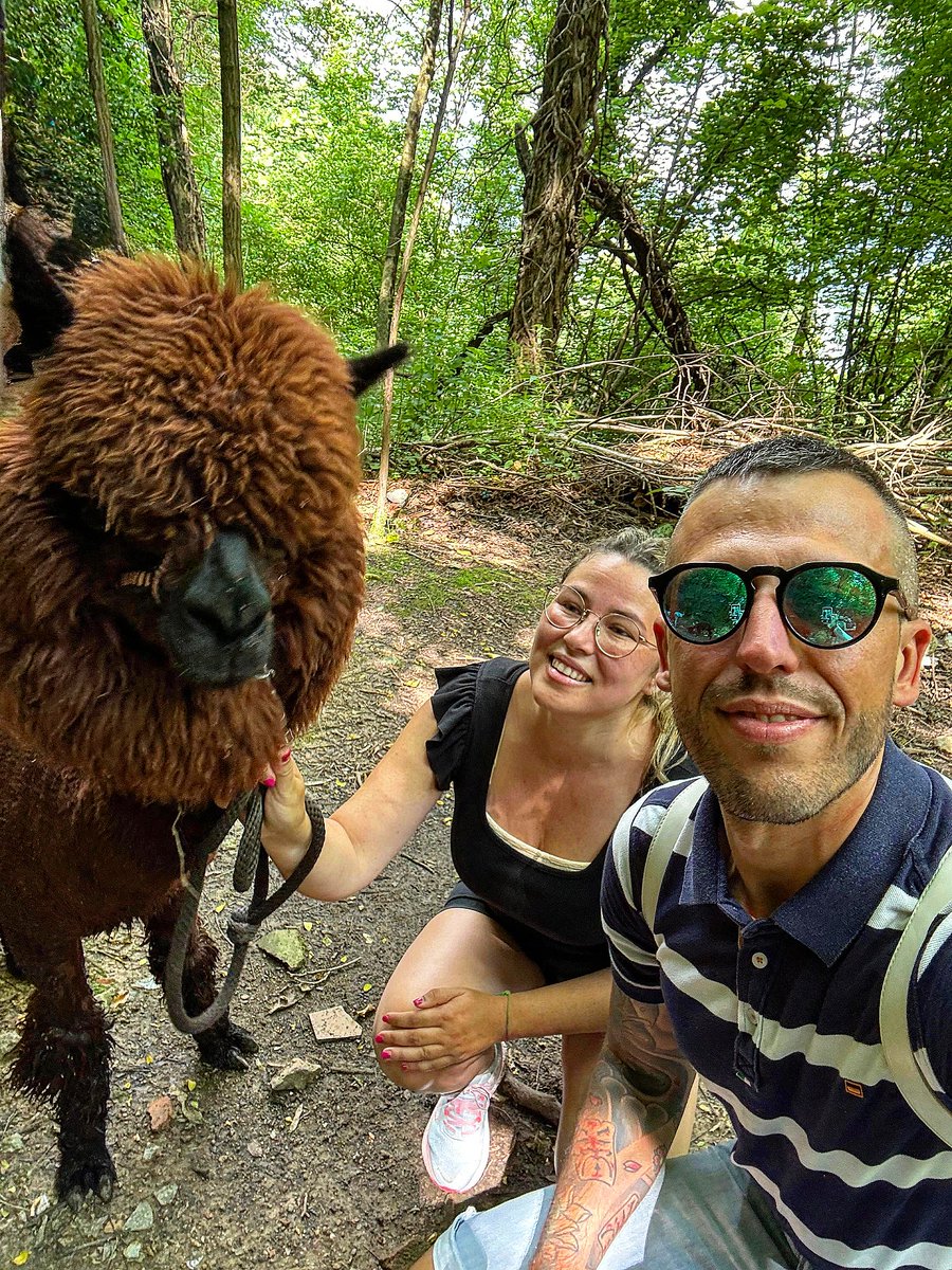 DarnellSerllnp's tweet photo. Toretto living his best life https://t.co/DPCma6z8CI