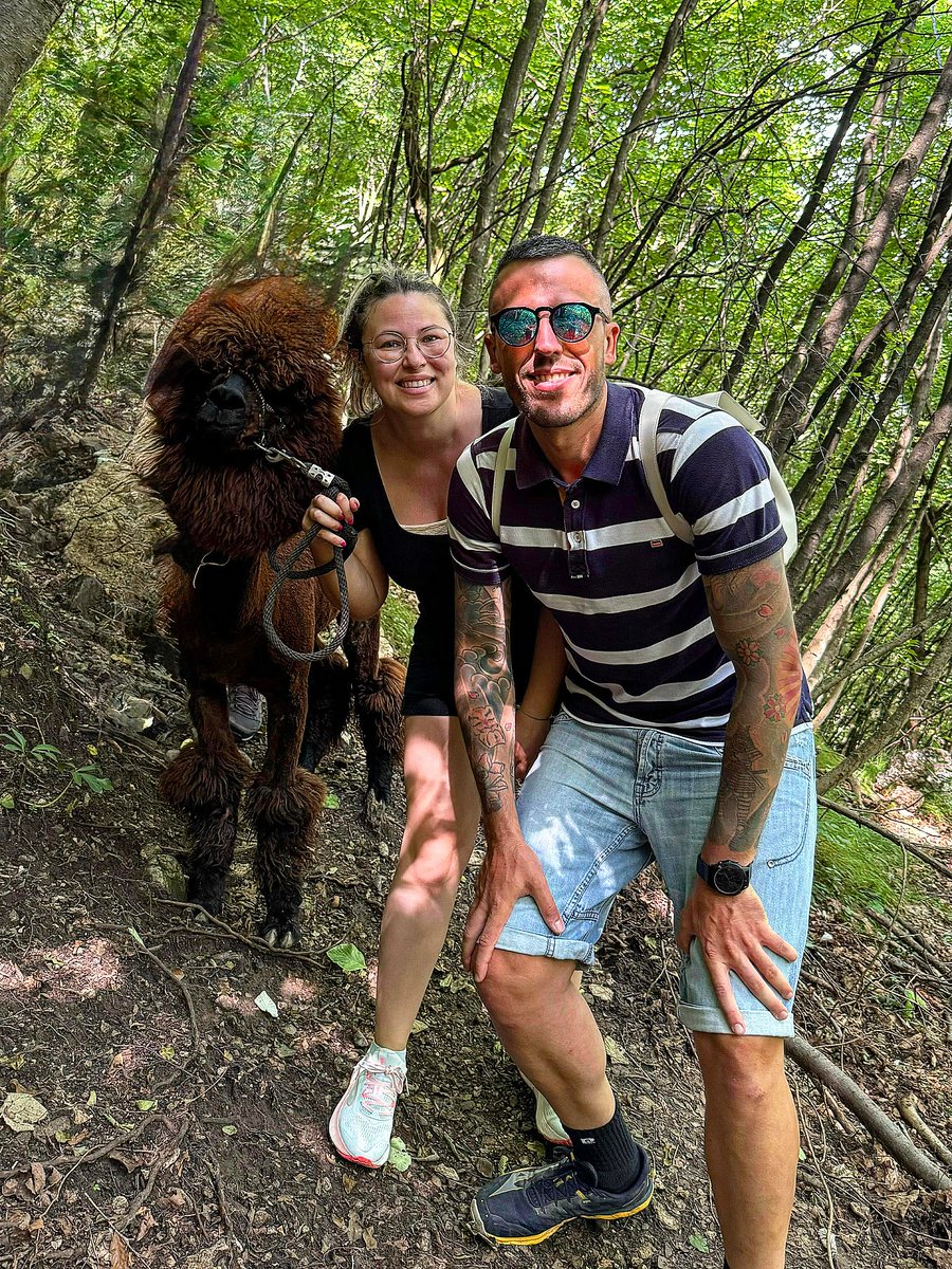 DarnellSerllnp's tweet photo. Toretto living his best life https://t.co/DPCma6z8CI