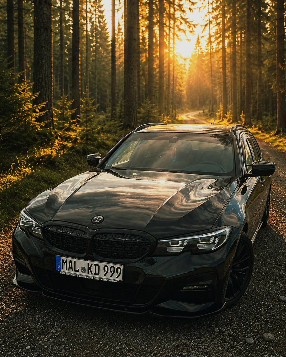 TonetteHurid's tweet photo. Black beast

The weekend couldn’t start any better: surrounded by nature, beautiful weather, cooling shade, and above all, peace and quiet. Have a great weekend. Are you happiest in nature and silence, or do you prefer the energy of the city? Let https://t.co/QiDKTqNoYF
