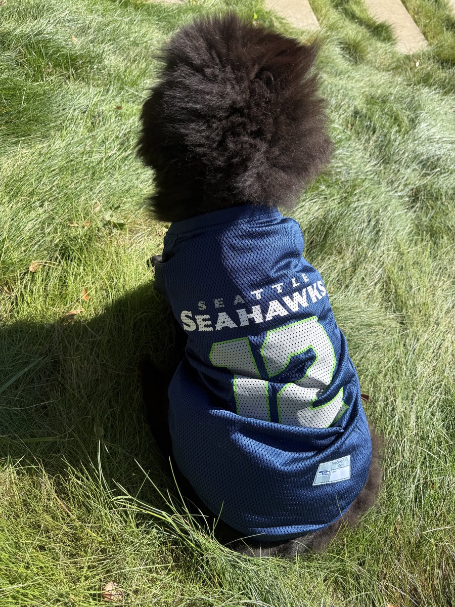 vkhosla's tweet photo. Our new Newf puppy named HAWK says "Win, Win, Win!" https://t.co/CKmNUpFjn9