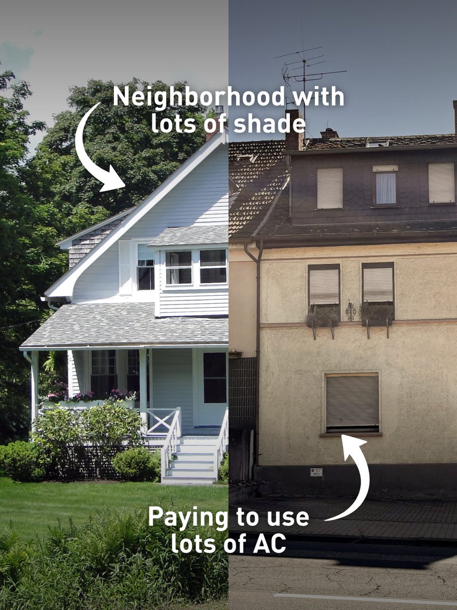 CLF's tweet photo. Can you spot the difference between a street lined with flourishing trees and one without?

National Grid’s leaky pipes release methane into the soil, suffocating tree roots and robbing neighborhoods of shade and cleaner air. CLF is suing to make them clean up their act. https://t.co/niHIt8wjnl