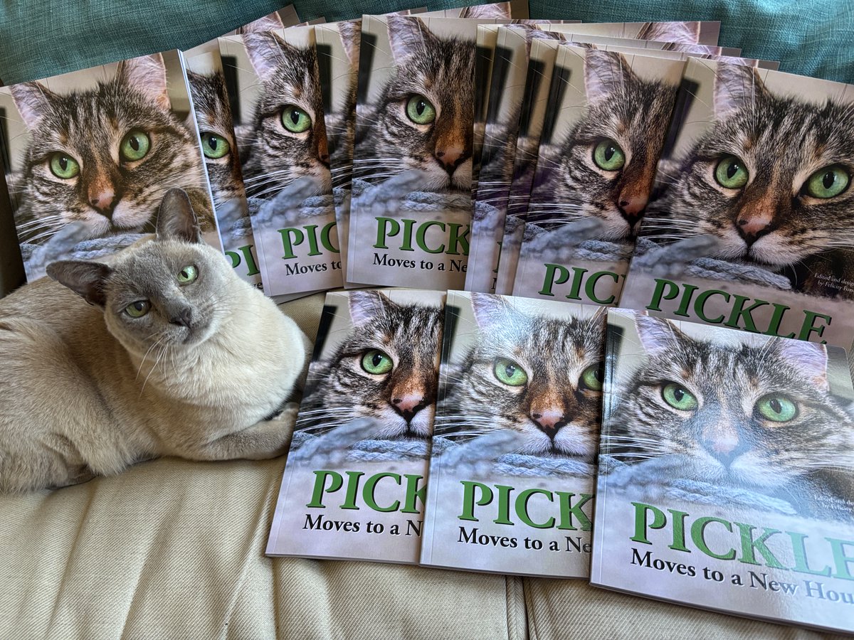GonzotheCat1's tweet photo. Thank you to everyone who's still buying the Pickle books! More copies were sold in the run-up to Pickle's birthday, which means more money is going to @FelineFriendsUK and @AllDogsMatter. β€οΈπΊπΆ #PicklePawtobiography #PickleDiary #PickleMovesHouse are available from Amazon. π https://t.co/NdwPHSFlTO