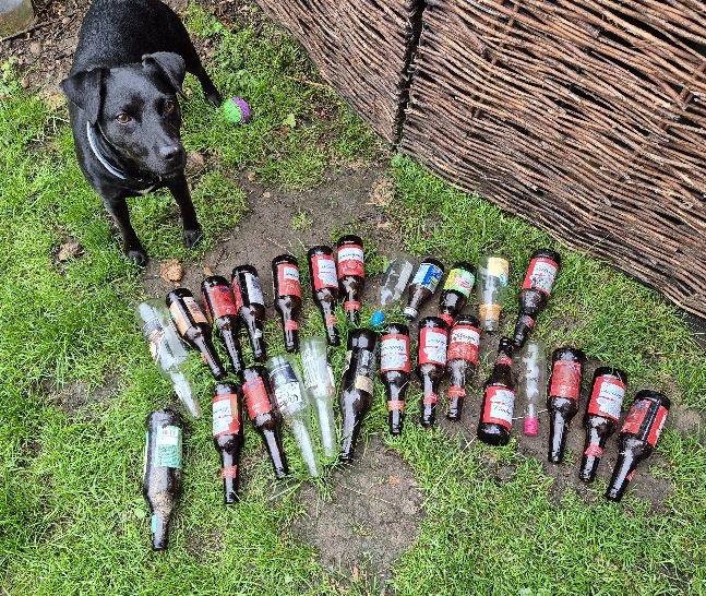 BBullrushes's tweet photo. It has been a while since we last cleared this verge and there were plenty of cans &amp; bottles to collect, mostly thrown from passing traffic 🤨 5 bags in total from just a few hundred metres.  #NotABin #Derby #LoveWhereYouLive @Litterwatch1 https://t.co/54dMsLBkoX