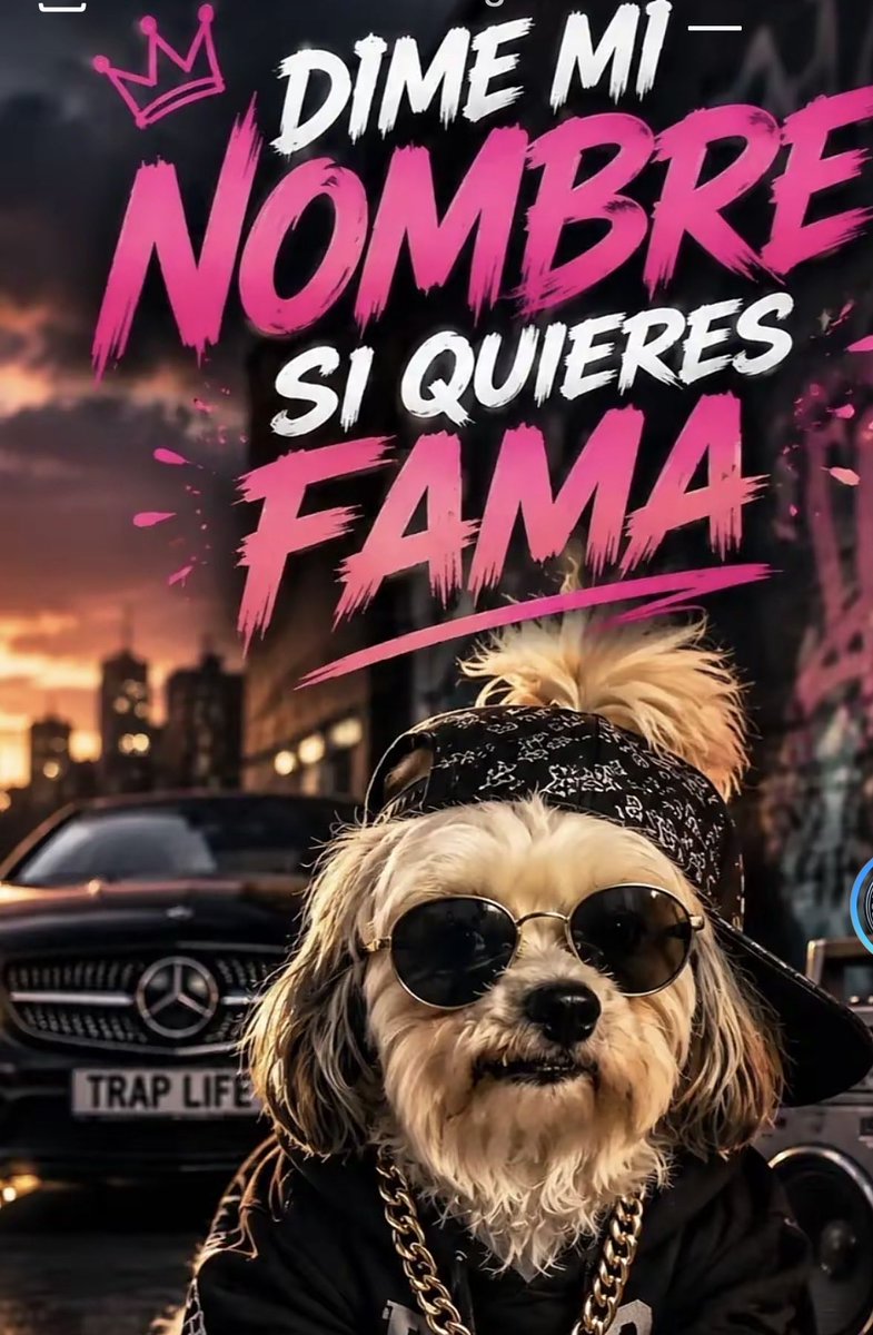 olgalusabogal's tweet photo. Me encanta Doki  tan famoso https://t.co/Wf3zrGPoFH