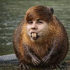 DeltaXtc's tweet photo. BikeTyson ran , what's next ?

$JustinBeaver ? https://t.co/pkruT3ZROE