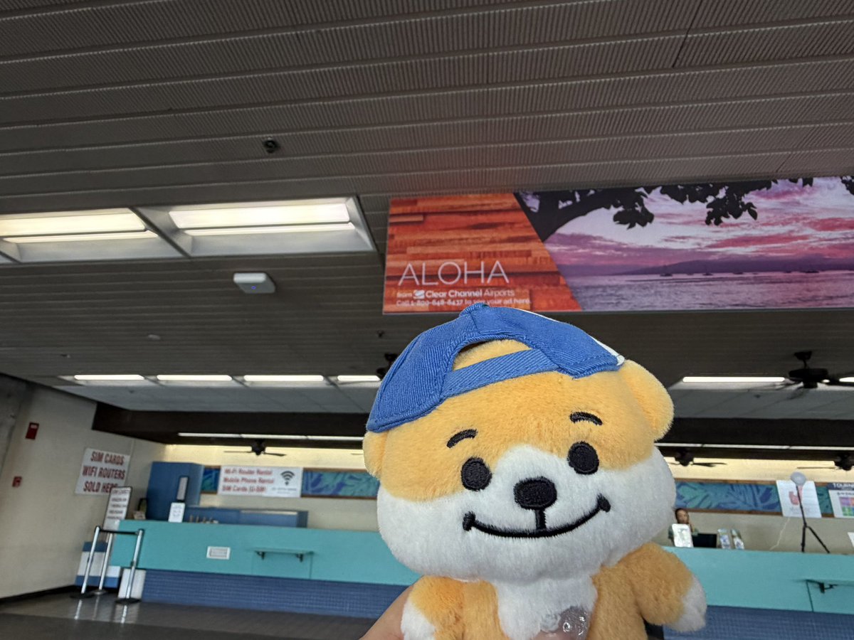 EN_Gummy's tweet photo. ジェイキー、ハワイだよ https://t.co/0L6cKq5m9y
