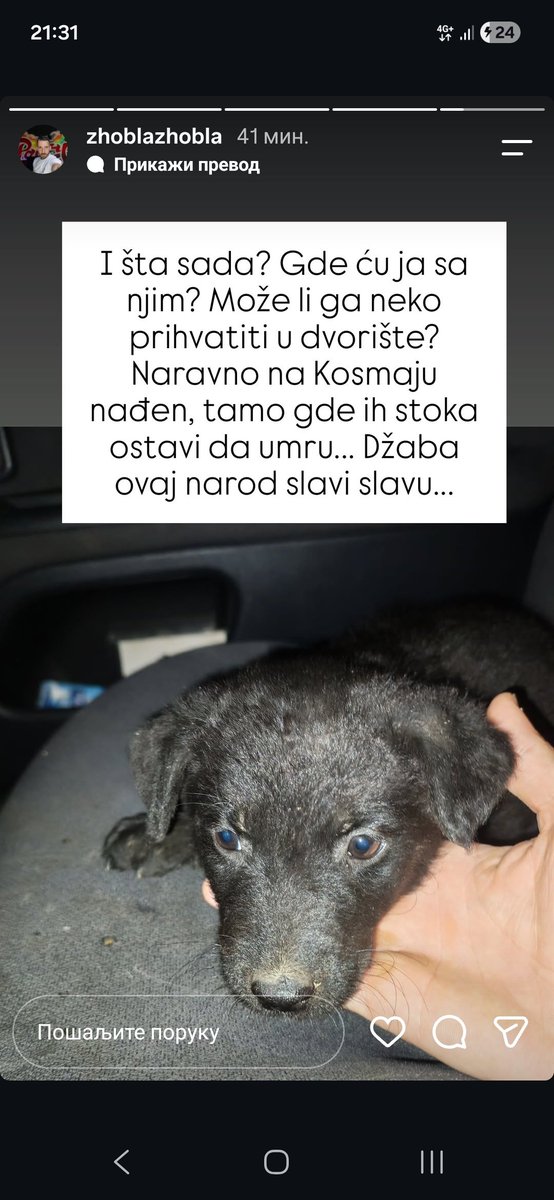 bozanstvenasmiz's tweet photo. Ајде, људи, делите. Контакт је профил момка на слици.❤️ https://t.co/4GbPzquzIR