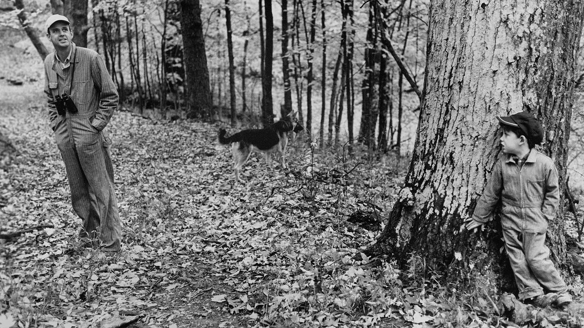 twobirdsfilm's tweet photo. Tonight at 8 PM ET, in honor of Wendell Berry, Kentucky PBS affiliate KET will broadcast a special screening of LOOK &amp; SEE: A PORTRAIT OF WENDELL BERRY &amp; THE BURLEY TOBACCO PROGRAM, from the LOOK &amp; SEE: FURTHER series.
https://t.co/87uTQQoFpe https://t.co/KVOFTvVMts