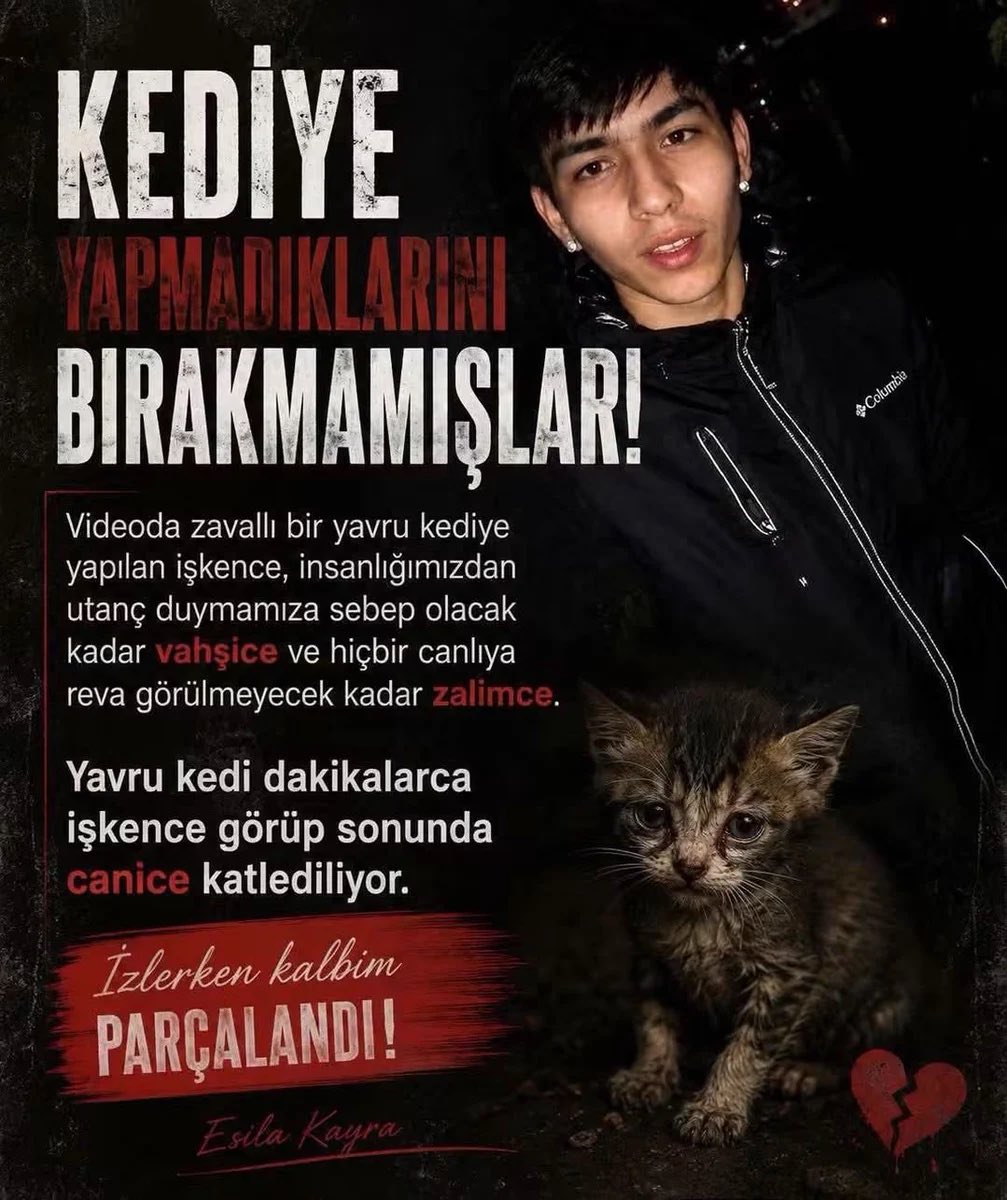 AtaturkBlack's tweet photo. Zaman geçtikçe bu halk unutur diyorlar ve doğruda söylüyorlar .  
Sakladıkları yerden çıkarmaları için içimizin soğumasını bekliyorlar. 

KİNİNİZİ DİRİ TUTUN 🙏
Tutuklatana kadar YILMAK yok.

#SessizCanlarınSesiOl #HayvanKatliamınaDurde 
#SokakHayvanlarıSahipsizDeğildir https://t.co/cgAajzJbmC