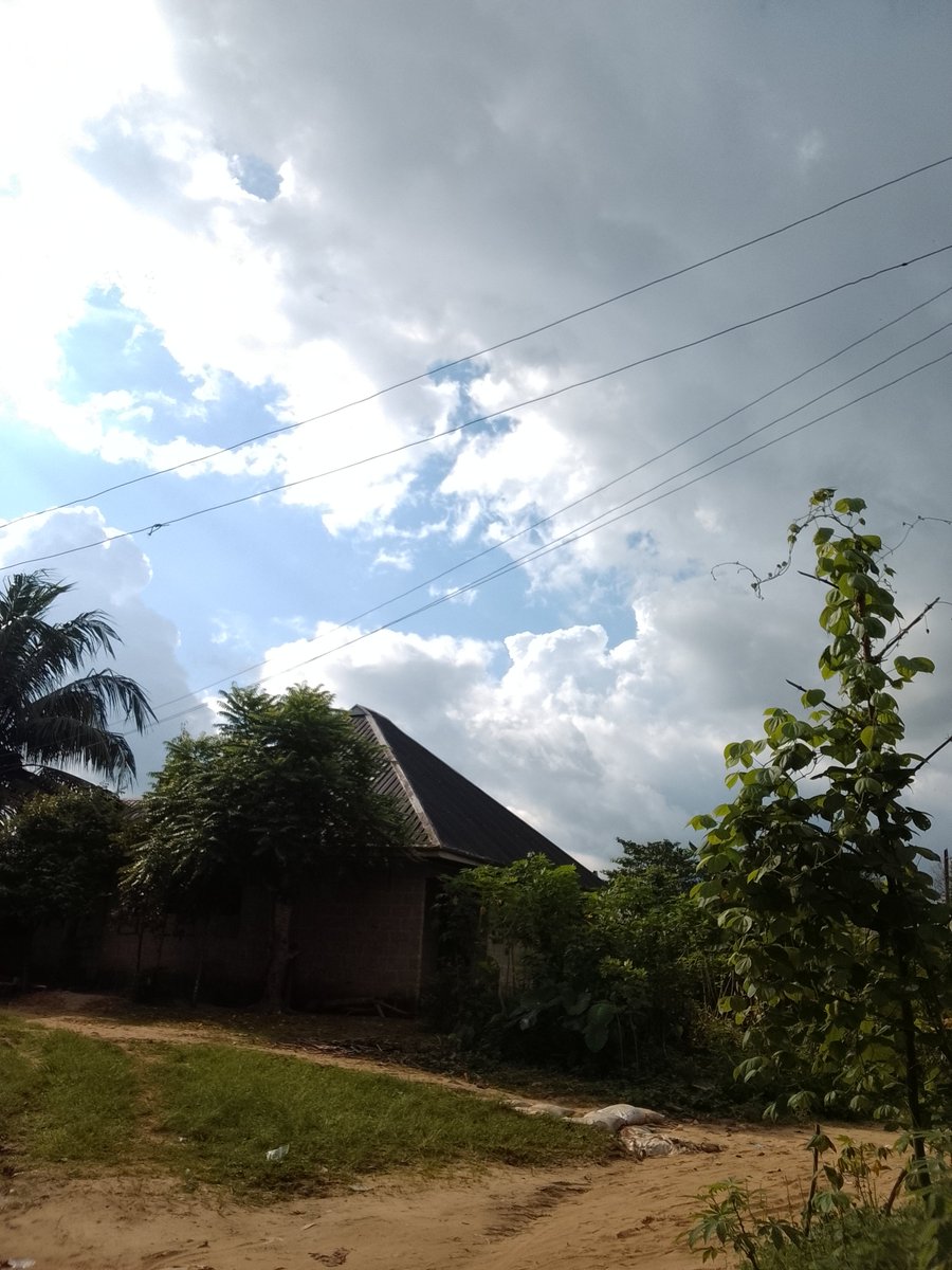 KinwiiBright's tweet photo. I took this myself.
Rate it and make suggestions. Tell me how to improve.
#justmynewinterest. https://t.co/yiv7so8cMK