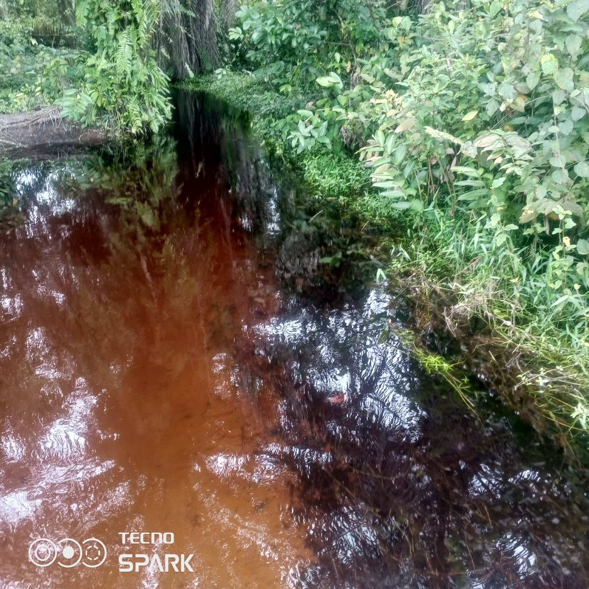 BenjaminAdeni5's tweet photo. See the beauty of nature. https://t.co/OdSzRFWk2W