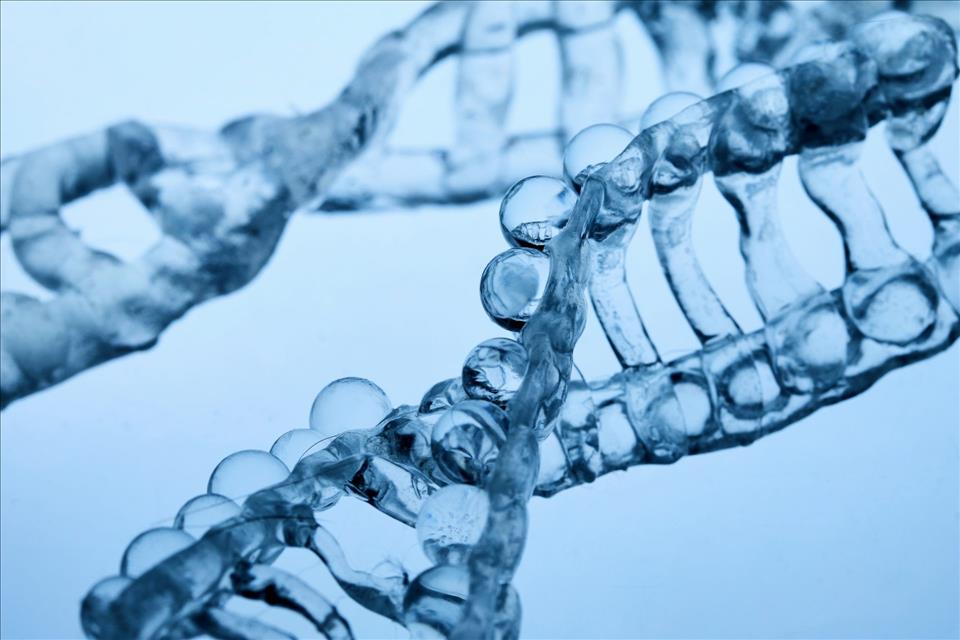 MENAFN's tweet photo. How A Little Stress May Help Our Cells Protect Themselves #Little #Stress #Help #Cells #Protect #Themselves #Vaccines #Pills #Doctor #Hospital #Pandemic https://t.co/ioB6dkcCdd https://t.co/AUhGXZtrcz