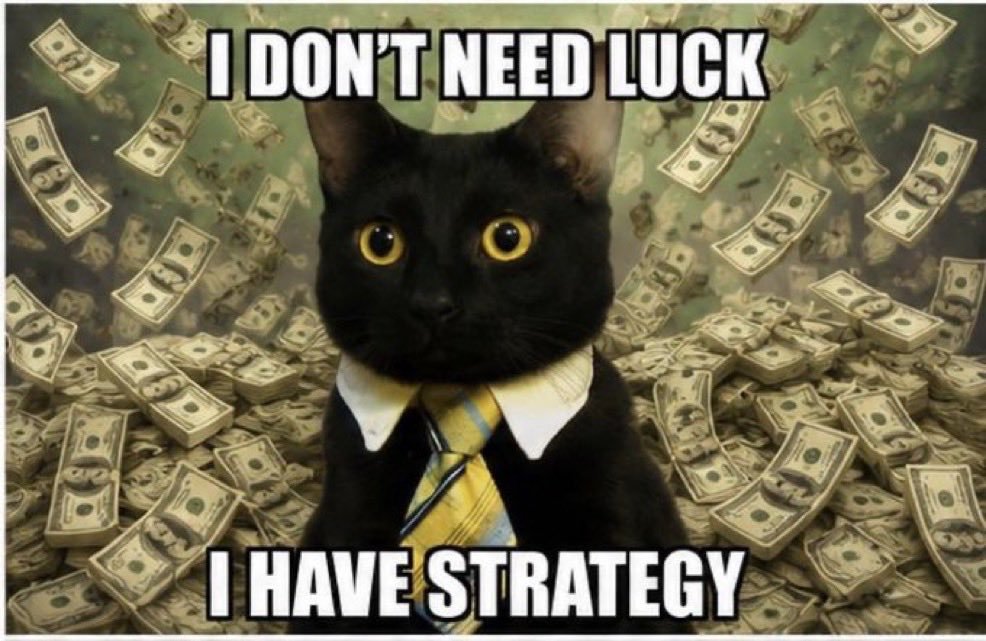 oicatwhatsup's tweet photo. @Francesca333L Standing on $bizcat business https://t.co/gqz60exYMc