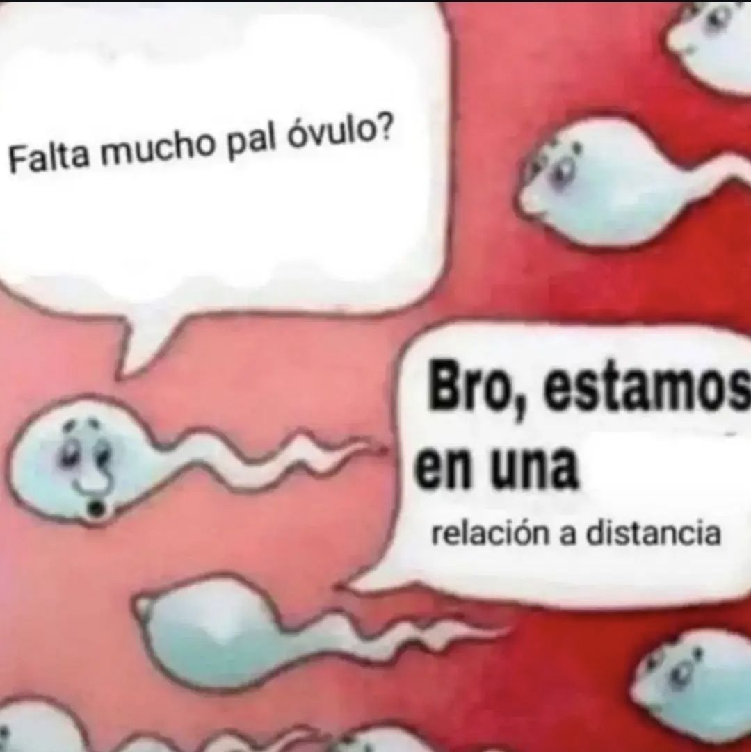 wikipistacho's tweet photo. https://t.co/7PKbAjlvZL