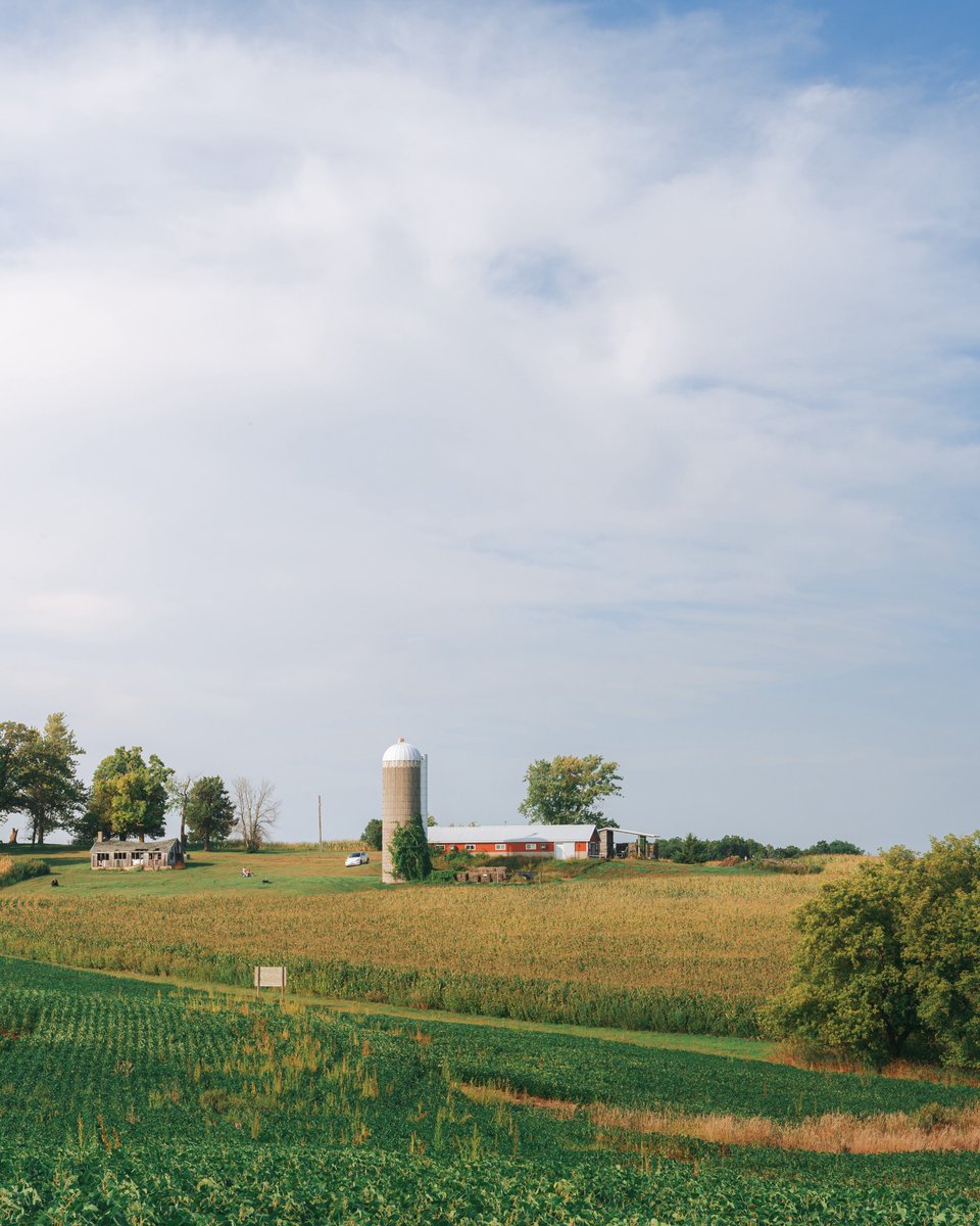 _thecolorfulkid's tweet photo. Wisconsin in September https://t.co/RGGd8SPVmR