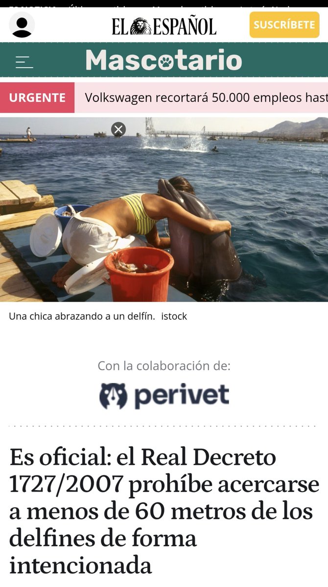Patrikcs1's tweet photo. Excepto si eres un salvaje invasor marroquí, que entonces ya puedes cogerlo y golpearlo en la cabeza hasta matarlo.
Hoy ha sido una cría de delfín, mañana será la cría de otra especie. https://t.co/9Tf4A1xONE