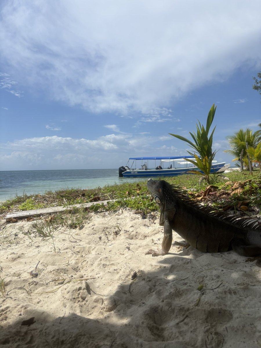_DavidZapeta's tweet photo. ☀️🥰 https://t.co/gj39zA9pZT