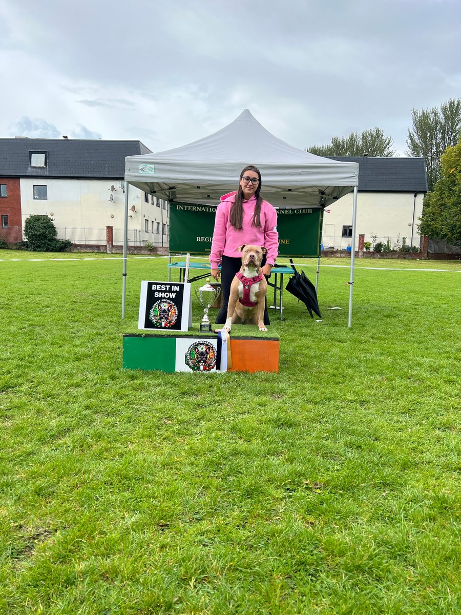 limerickpost's tweet photo. LIMERICK IN PHOTOS: A dog’s life

THE International Pedigree Kennel Club held its first dog show at O’Brien’s Park in Limerick last Sunday (August 30). 

📷 Keneth Woodland
#Limerick #LimerickInPhotos https://t.co/vUtPKKFMpW